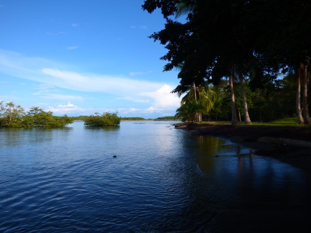 Corcovado Beach Lodge Puerto Jiménez Kültér fotó