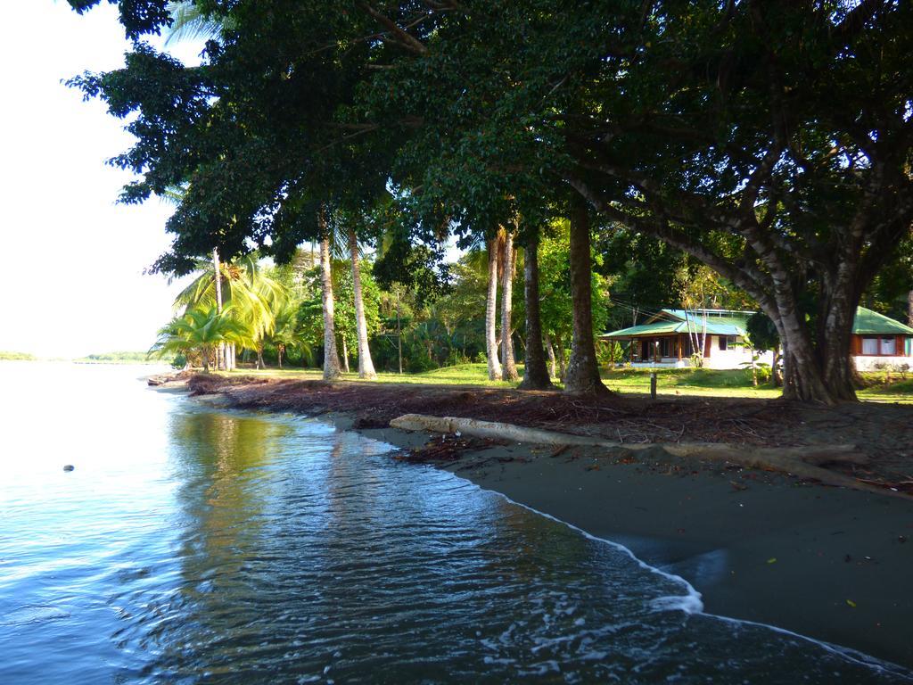 Corcovado Beach Lodge Puerto Jiménez Kültér fotó