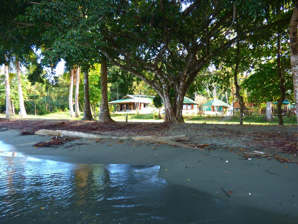 Corcovado Beach Lodge Puerto Jiménez Kültér fotó