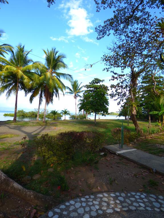 Corcovado Beach Lodge Puerto Jiménez Kültér fotó