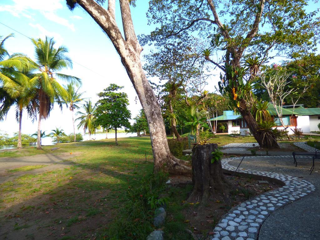 Corcovado Beach Lodge Puerto Jiménez Kültér fotó