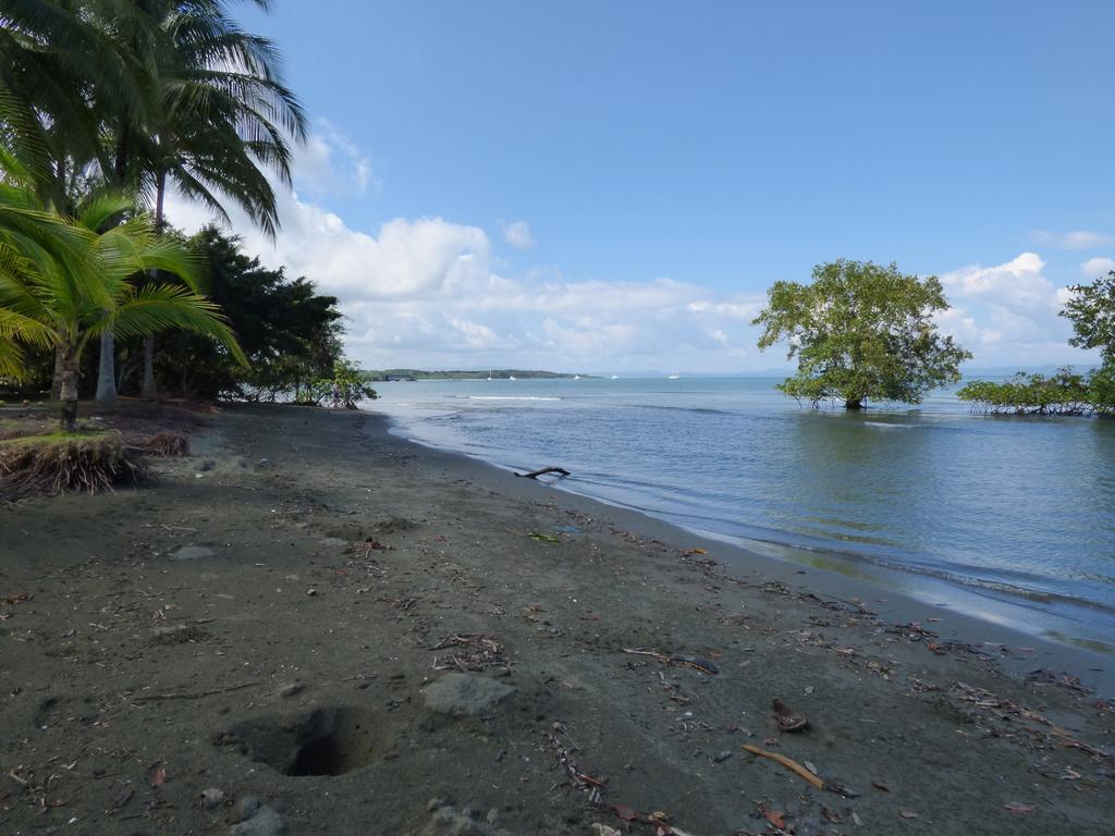 Corcovado Beach Lodge Puerto Jiménez Kültér fotó