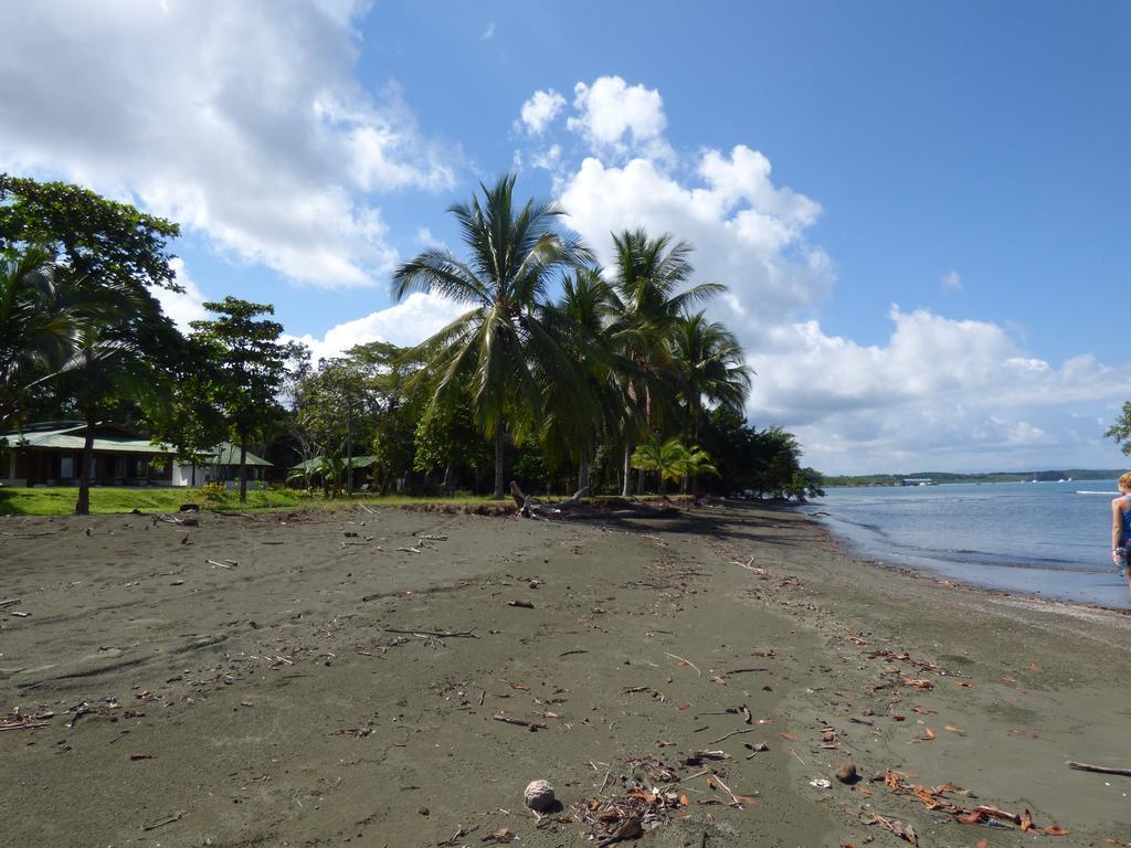 Corcovado Beach Lodge Puerto Jiménez Kültér fotó