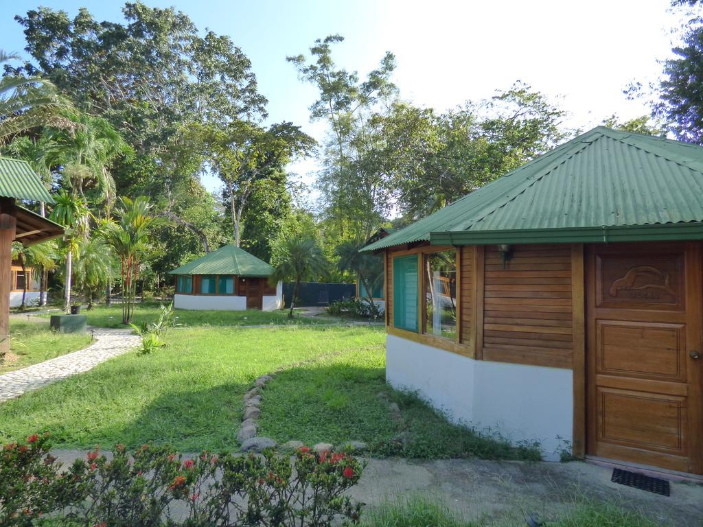 Corcovado Beach Lodge Puerto Jiménez Kültér fotó