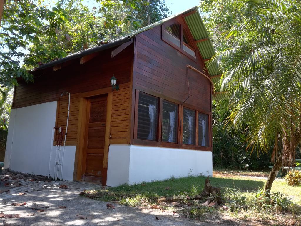 Corcovado Beach Lodge Puerto Jiménez Kültér fotó