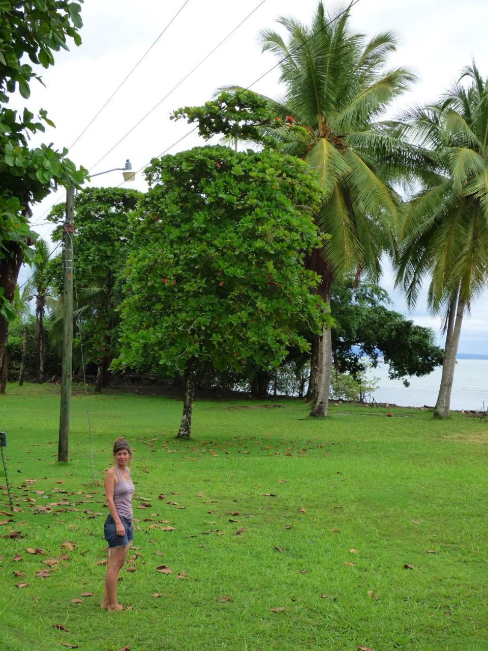 Corcovado Beach Lodge Puerto Jiménez Kültér fotó